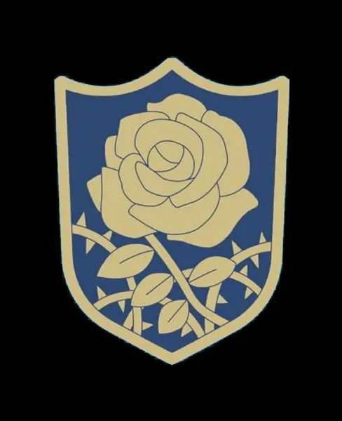 Blue Rose